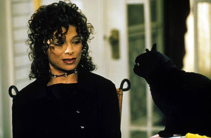 Sabrina the Teenage Witch — archival artwork or imagery